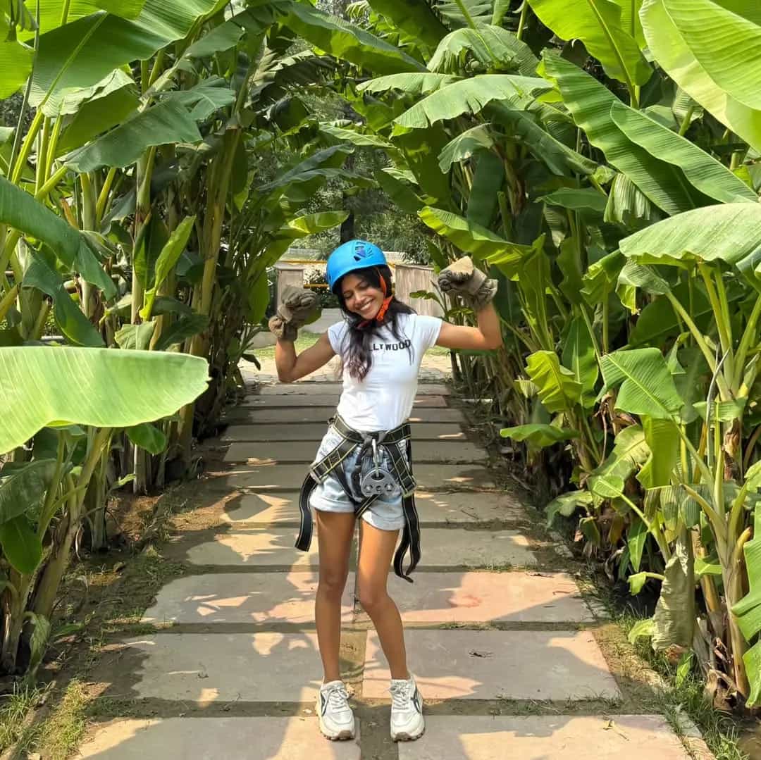 Adventure park highlight